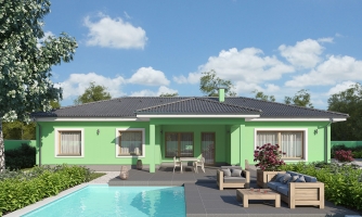 House project with atrium.